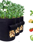 Easy Grow Potato Bag