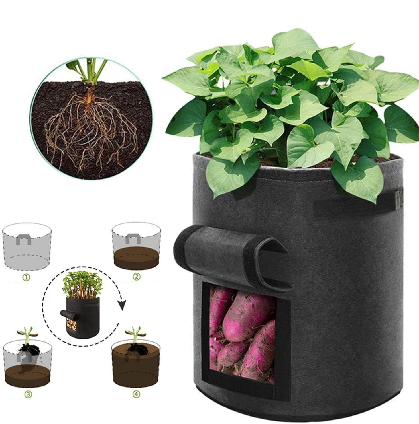Easy Grow Potato Bag