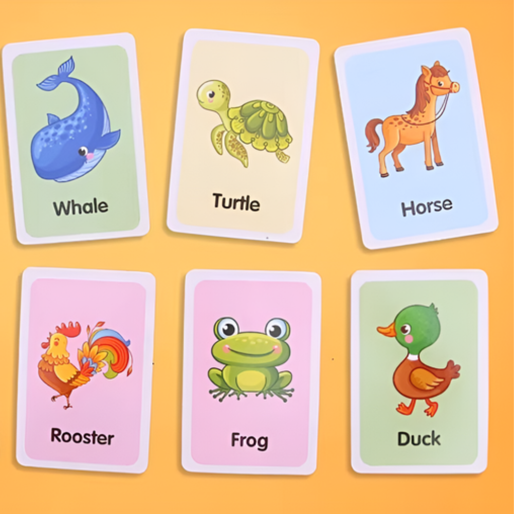 Educational Flashcards - Ignite Curiosity Learn
