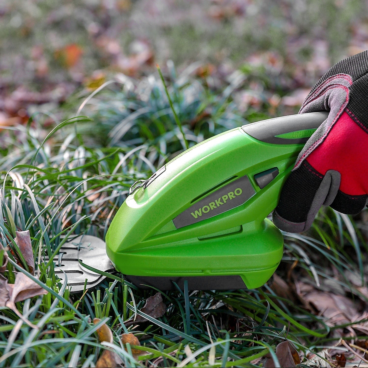 Electric Hedge Trimmer: Efficient Pruning in No Time