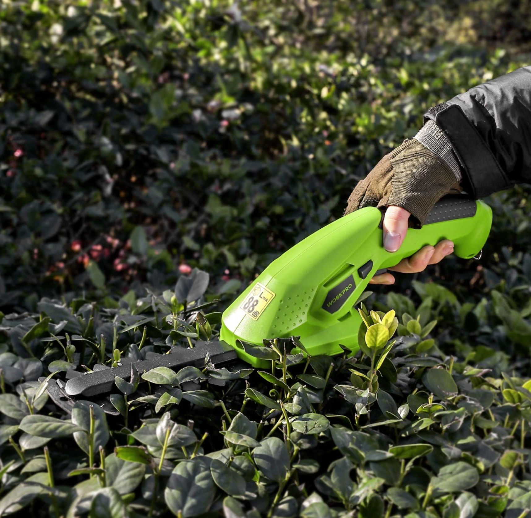 Electric Hedge Trimmer: Efficient Pruning in No Time