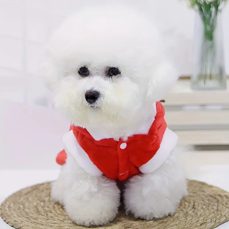 Elfie | Give your pet a warm winter and festive season