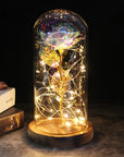 Eternal Rose with Light | A Timeless Gift of Warmth and Love
