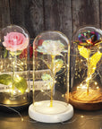 Eternal Rose with Light | A Timeless Gift of Warmth and Love