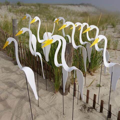 Flamingoz | Dynamic Bird