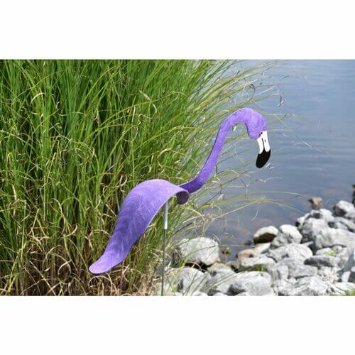 Flamingoz | Dynamic Bird