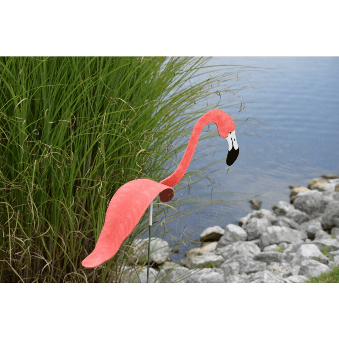 Flamingoz | Dynamic Bird