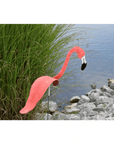 Flamingoz | Dynamic Bird