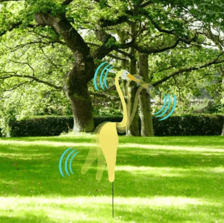 Flamingoz | Dynamic Bird