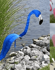 Flamingoz | Dynamic Bird