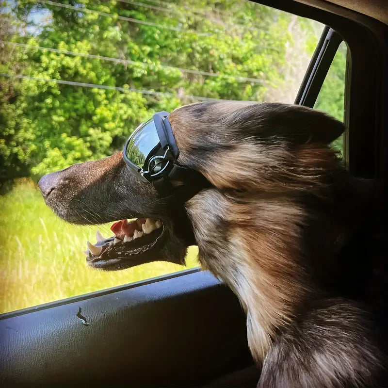 FurrVision | UV and Wind Protection