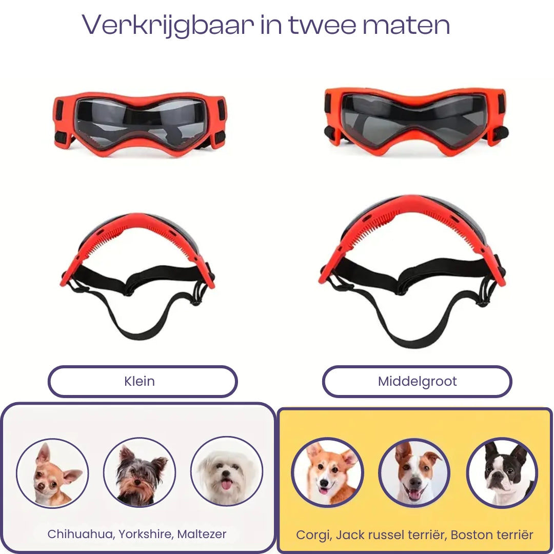 FurrVision | UV and Wind Protection