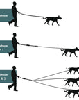 LeashUp | Split Lead for Three Dogs