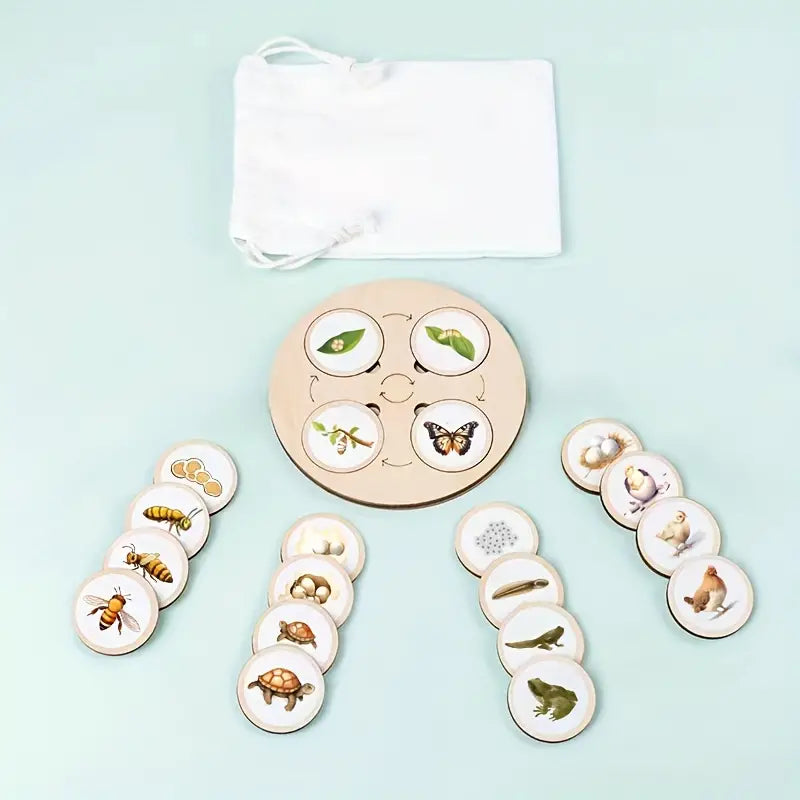 Life Cycles Puzzles - Educational and Interactive Learning