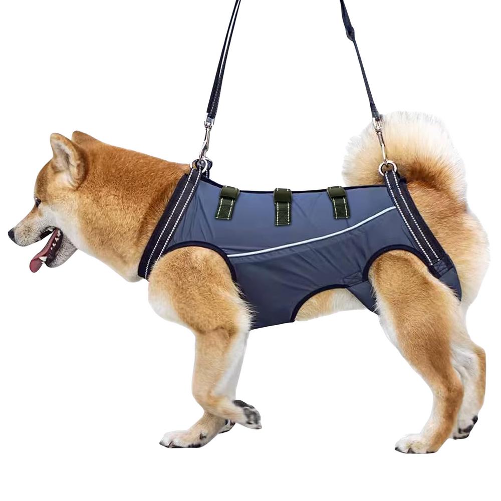 LiftHound | Rehabilitation and Recovery Support Harness