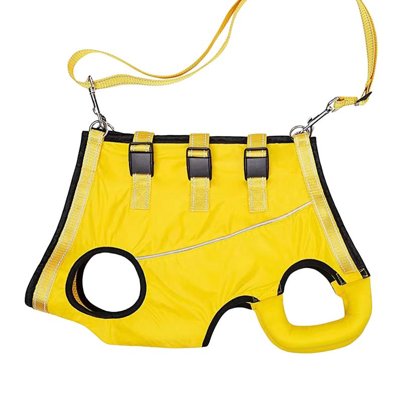 LiftHound | Rehabilitation and Recovery Support Harness