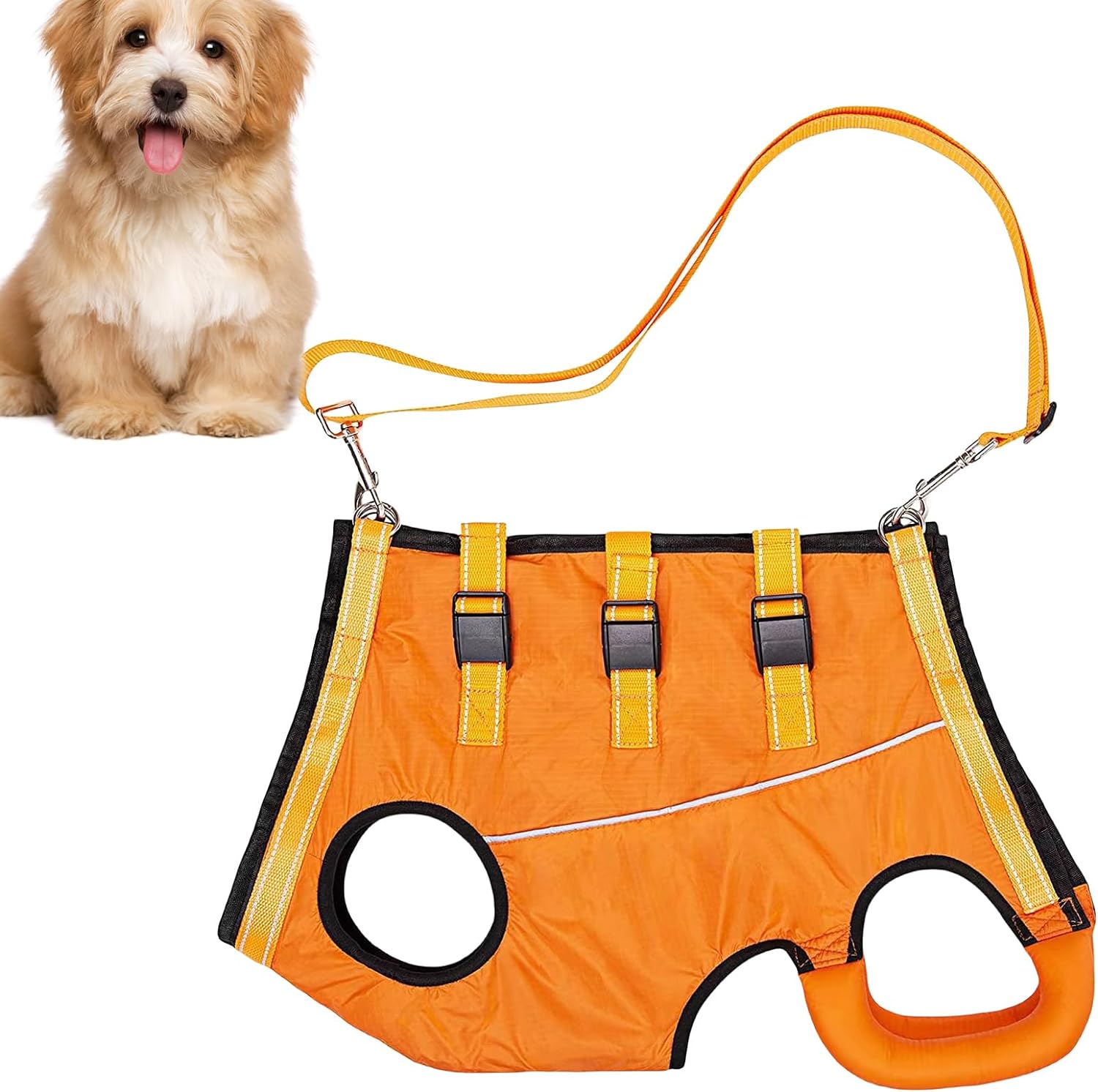 LiftHound | Rehabilitation and Recovery Support Harness