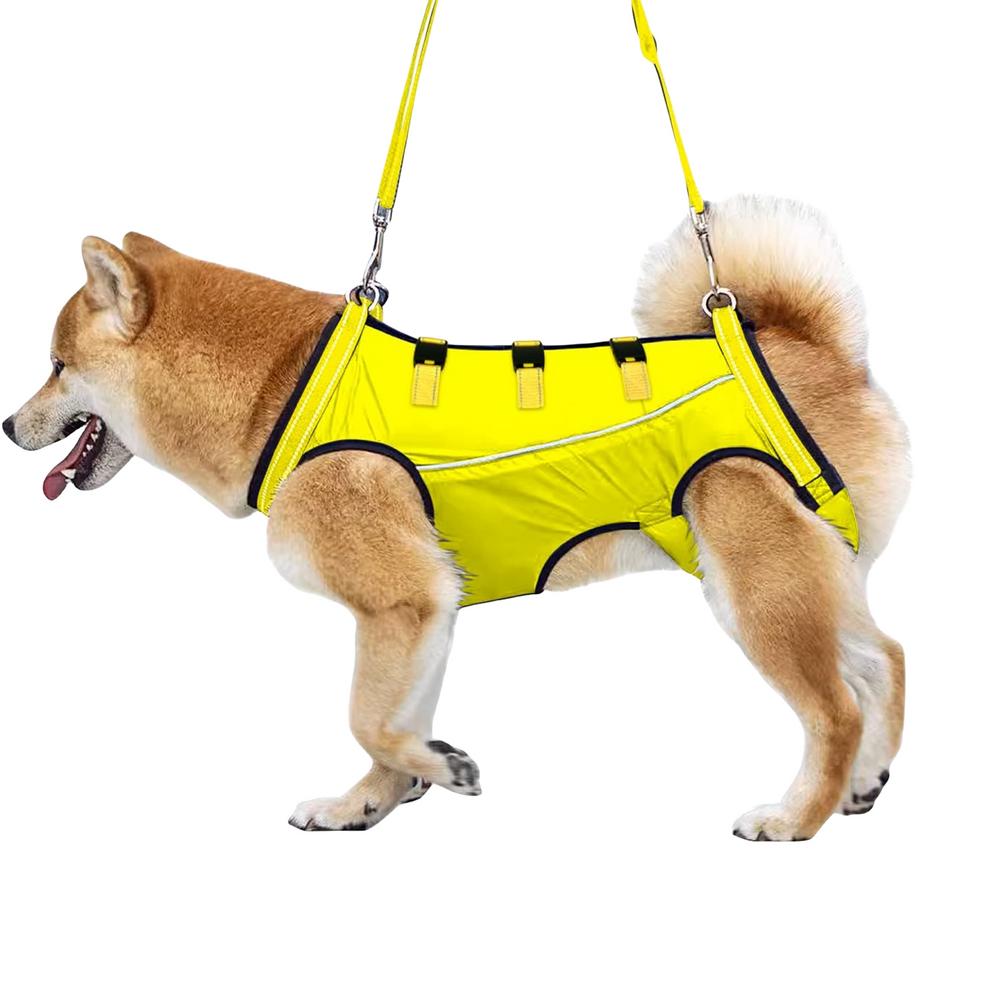 LiftHound | Rehabilitation and Recovery Support Harness