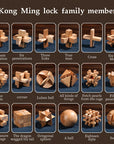MindPuzzle - Wooden Brain Teaser Gift Set with 6 Kongming Lock Puzzles