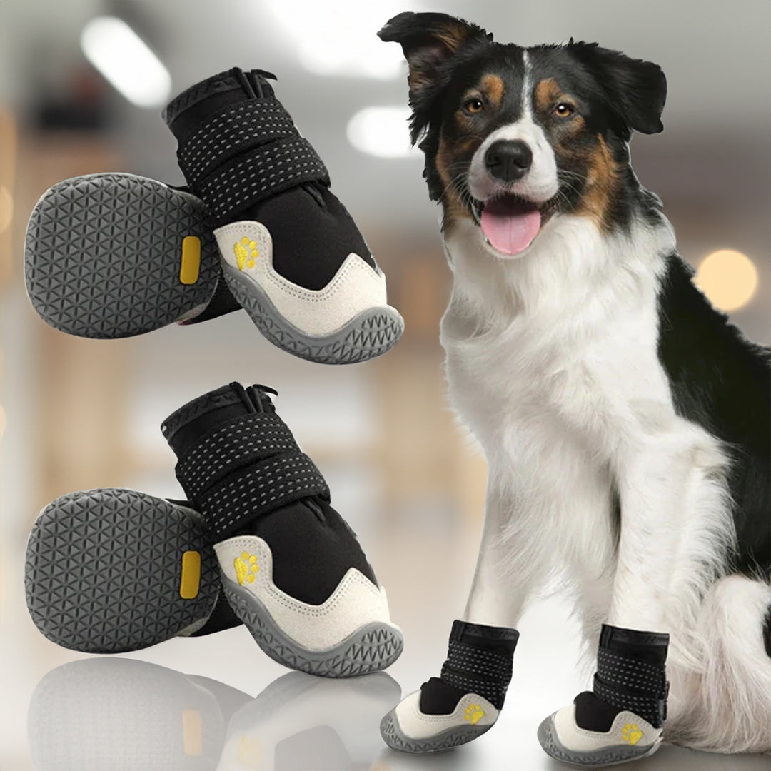 PawCooler | Cooling Paw Protection