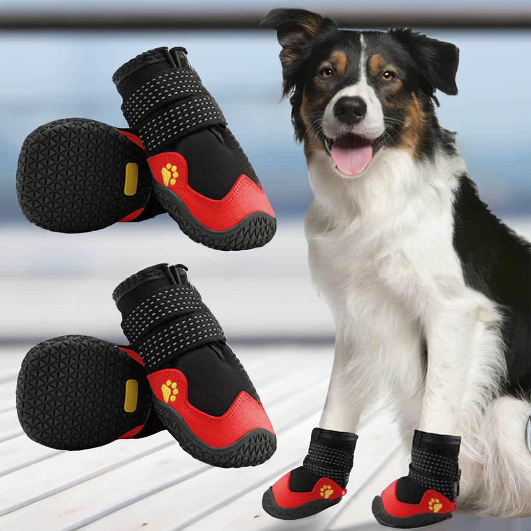 PawCooler | Cooling Paw Protection