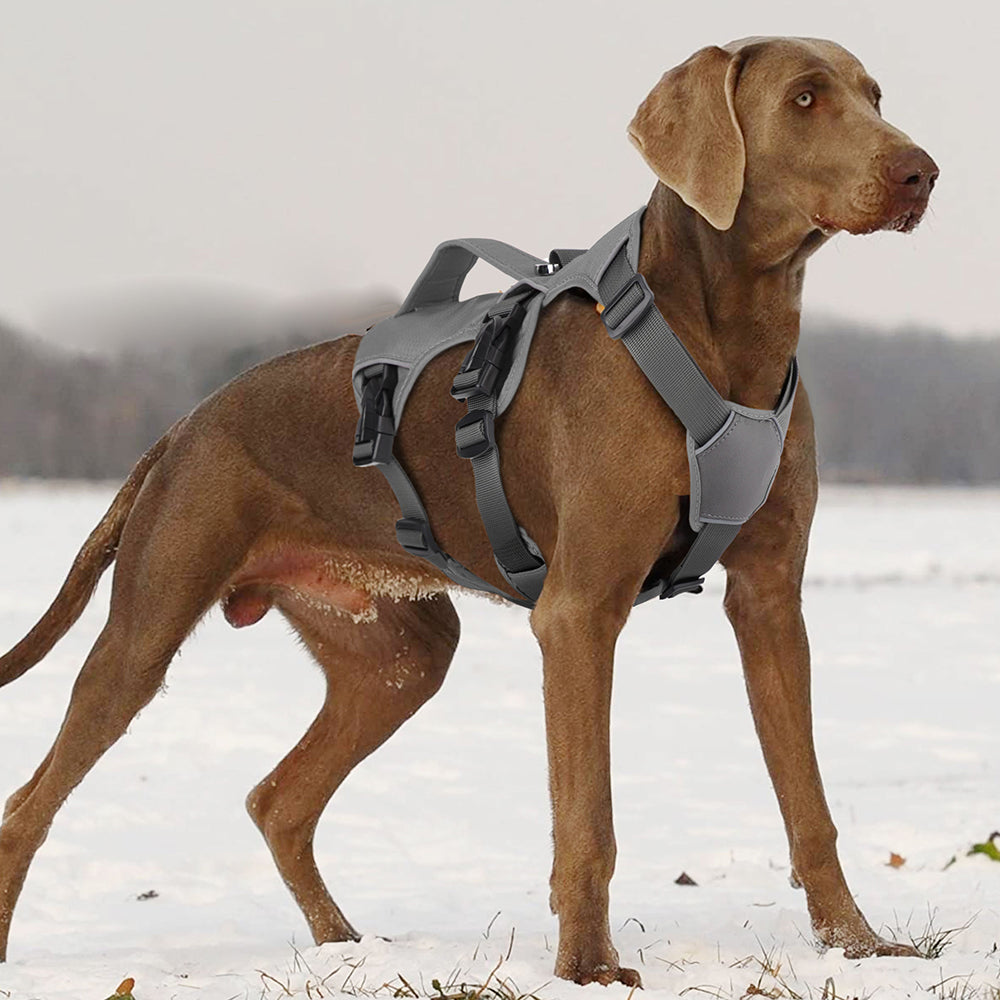 PawFlex | Premium No Pull Reflective Harness