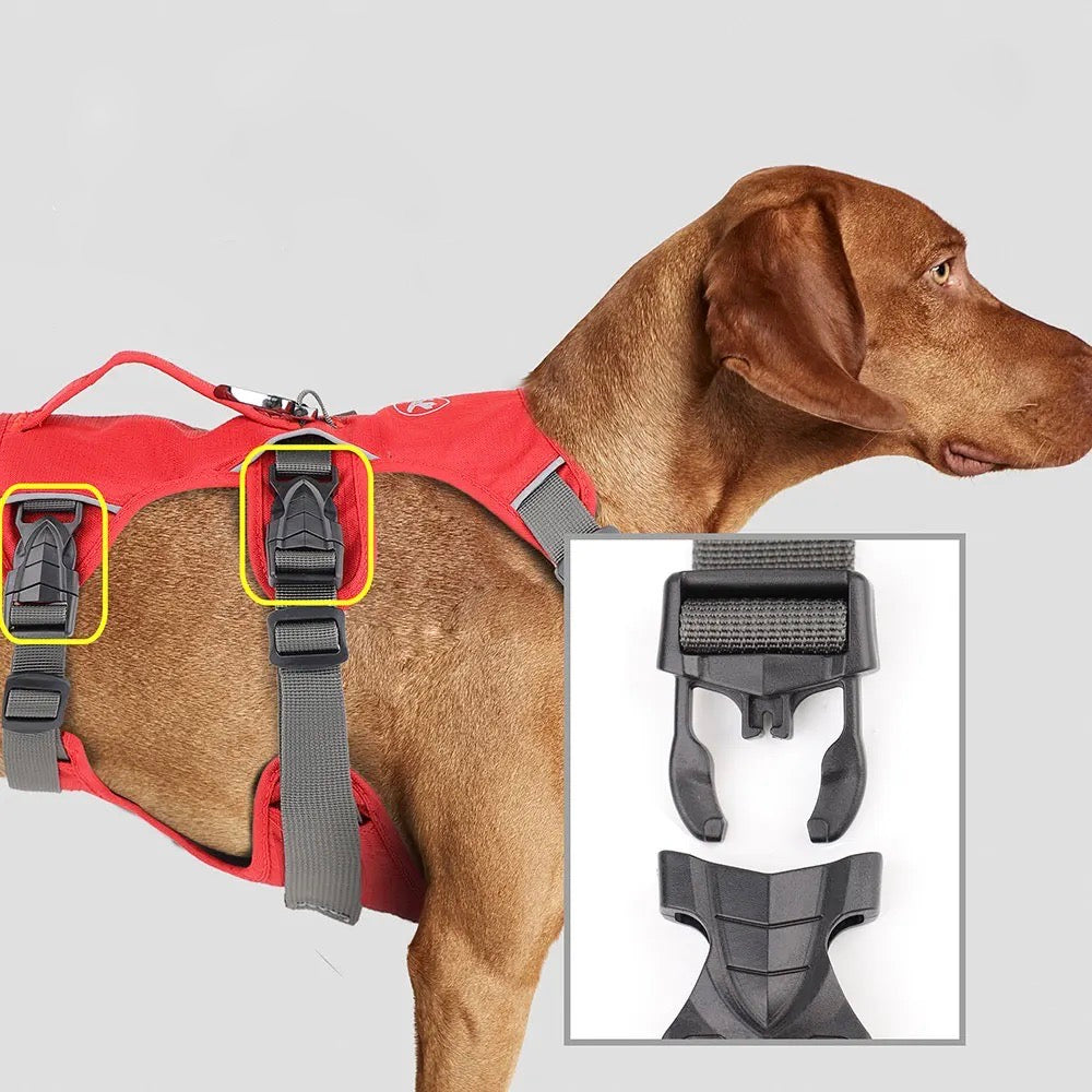PawFlex | Premium No Pull Reflective Harness
