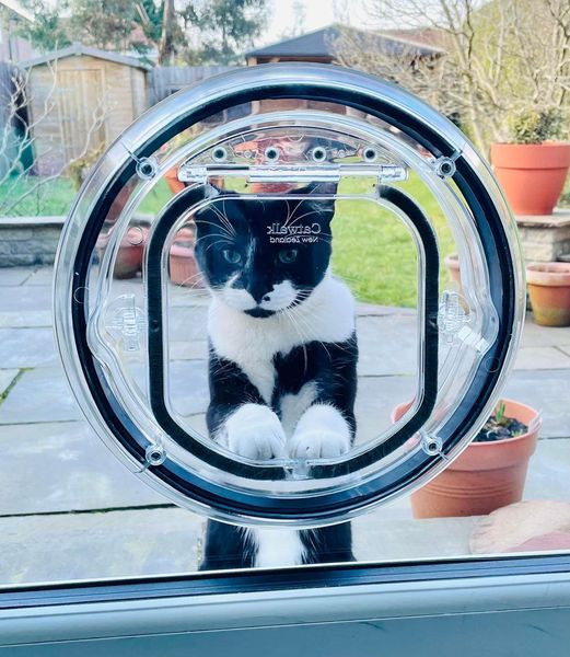 PetFlap | Transparent Pet Door