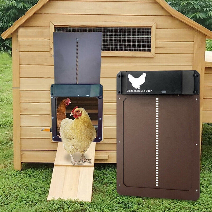 PoultryPro | Chickens Safe with Automatic Closure