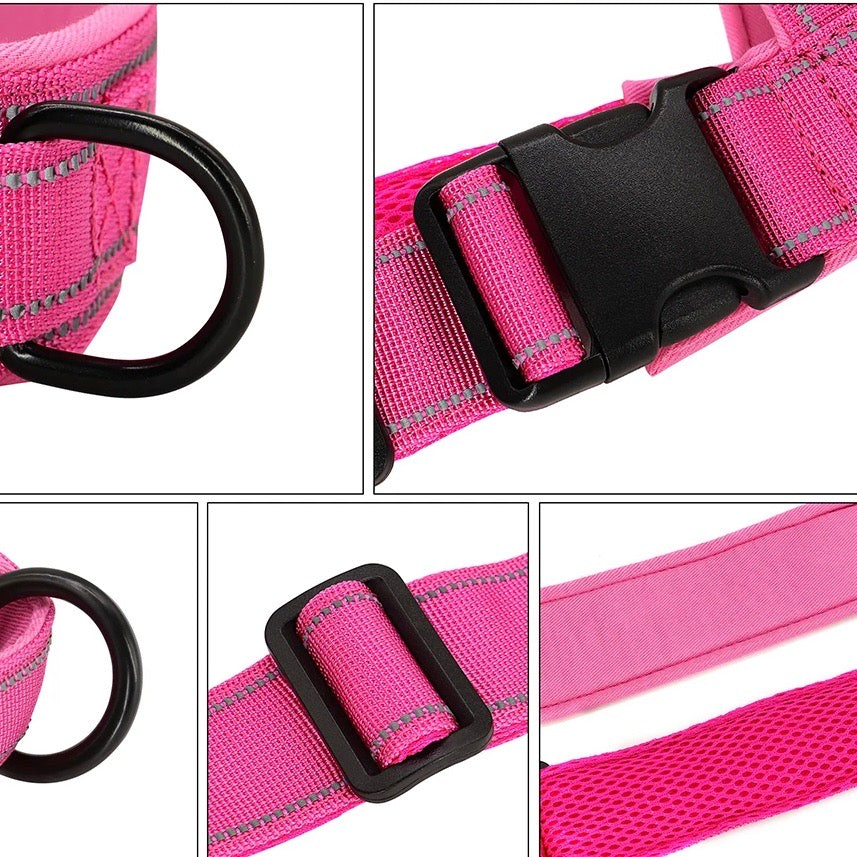 PowerLead | No-Pull Harness with Reflective Features