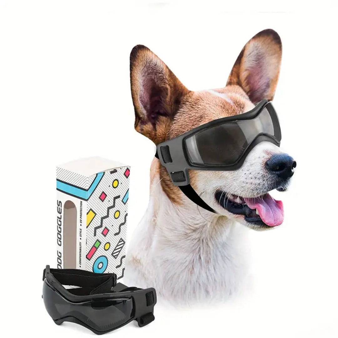 PupVisor | Trendy UV Dog Sunglasses