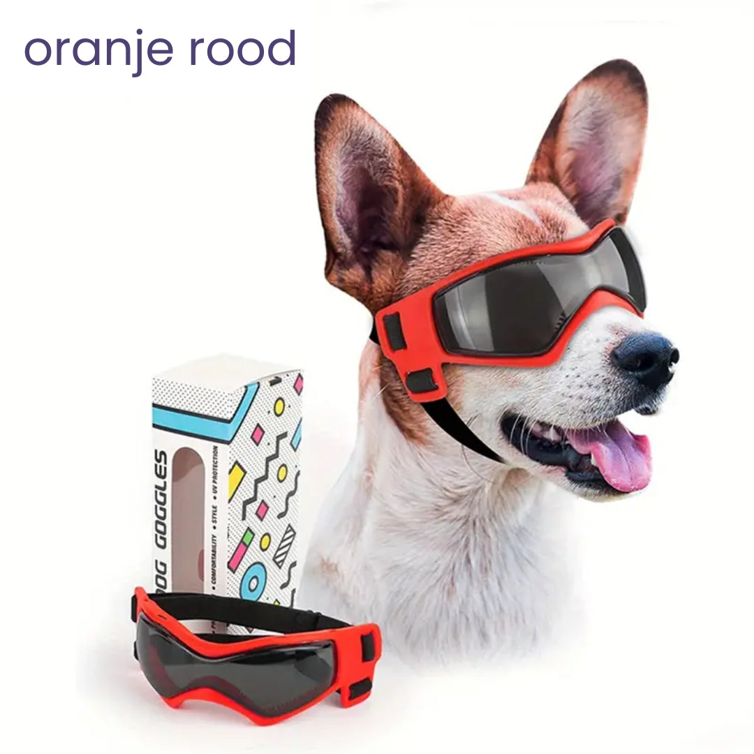 PupVisor | Trendy UV Dog Sunglasses