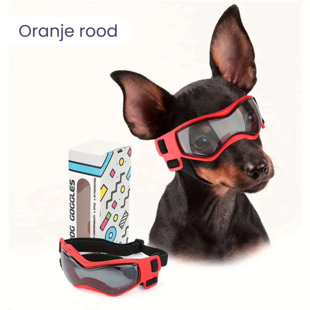 PupVisor | Trendy UV Dog Sunglasses