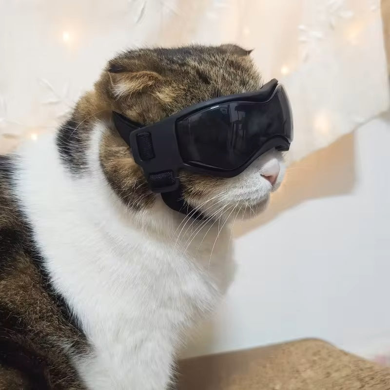 PupVisor | Trendy UV Dog Sunglasses