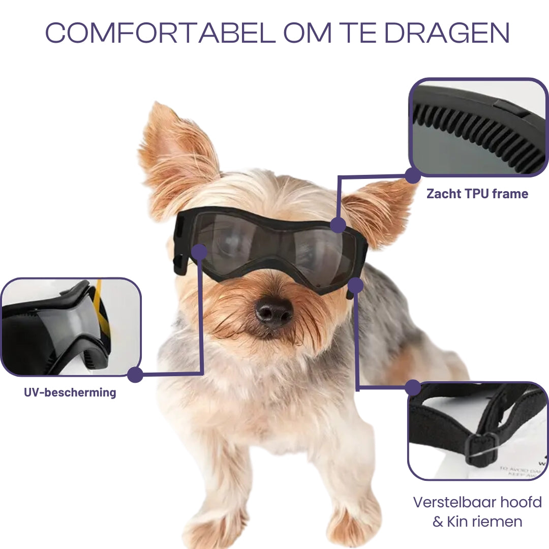 PupVisor | Trendy UV Dog Sunglasses