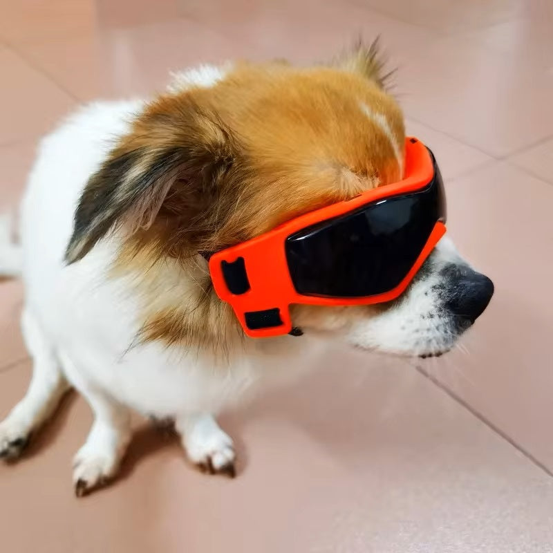 PupVisor | Trendy UV Dog Sunglasses