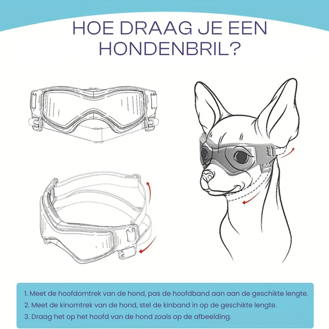 PupVisor | Trendy UV Dog Sunglasses