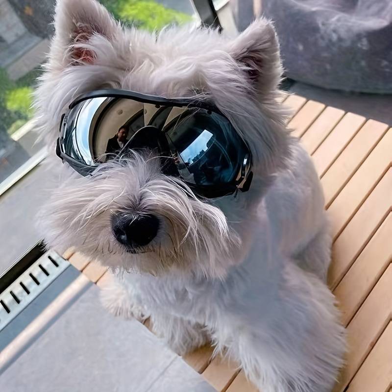 PupVisor | Trendy UV Dog Sunglasses