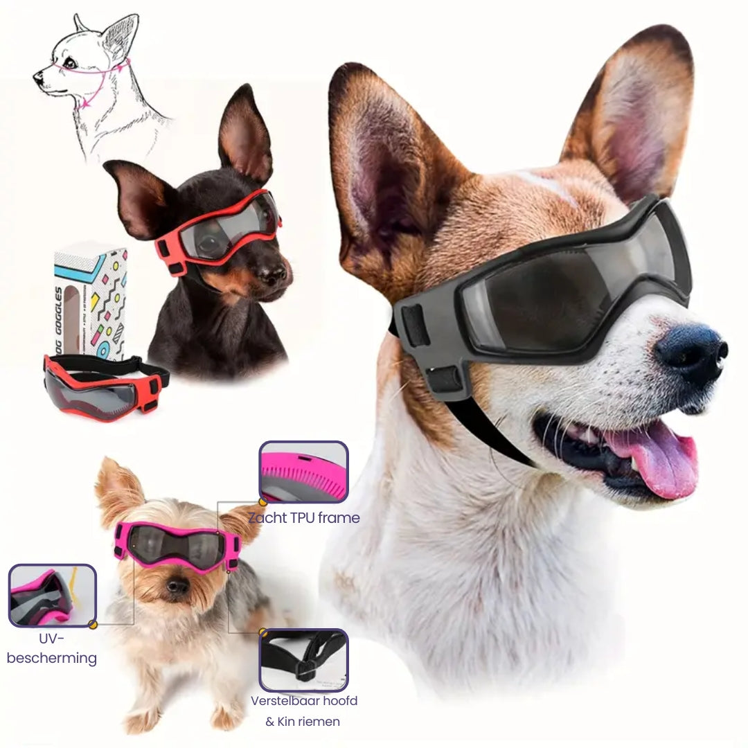 PupVisor | Trendy UV Dog Sunglasses