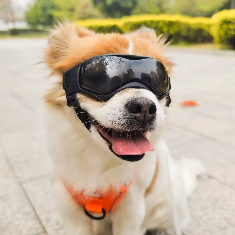 PupVisor | Trendy UV Dog Sunglasses