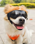 PupVisor | Trendy UV Dog Sunglasses