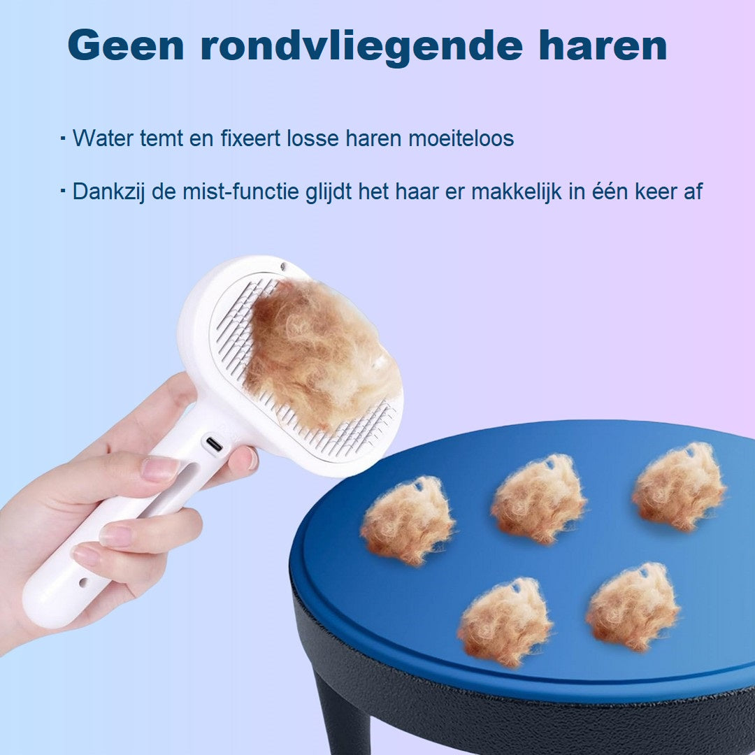 PurrCare | The Ultimate Grooming Solution