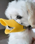 QuackSafe | Muzzle with Adjustable Straps