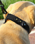 TrackMate | Real-Time Tracking Collar