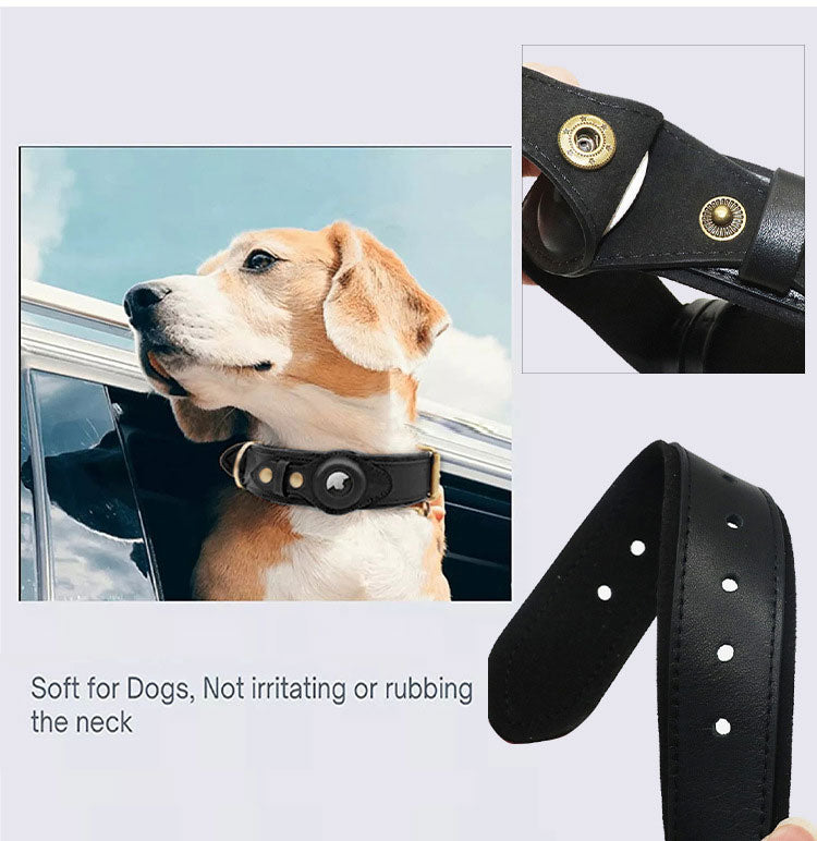 TrackMate | Real-Time Tracking Collar