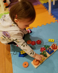 Shape Sorter - Promotes Recognition and Skills