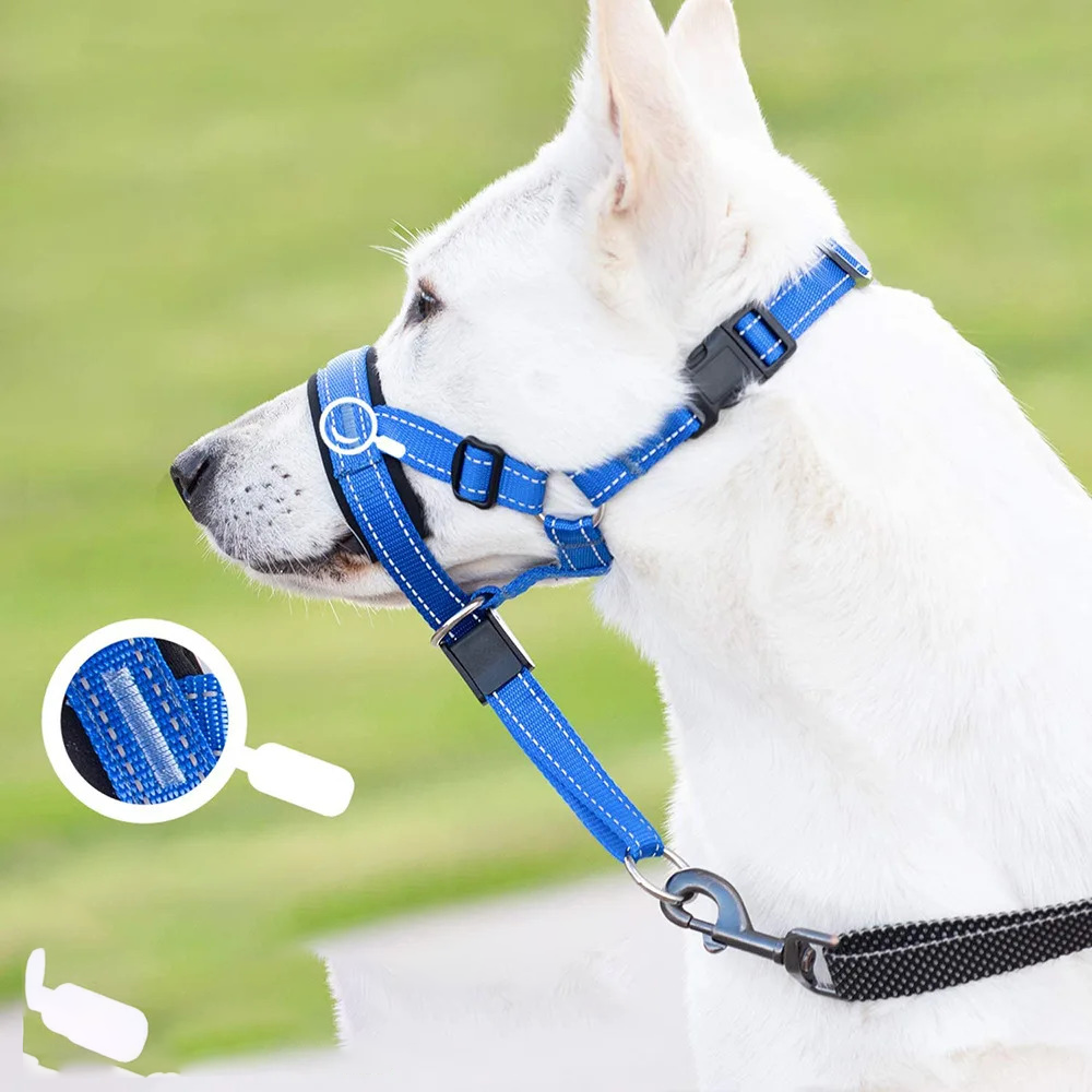SnoutPro | Stop Barking and Biting Without Stress
