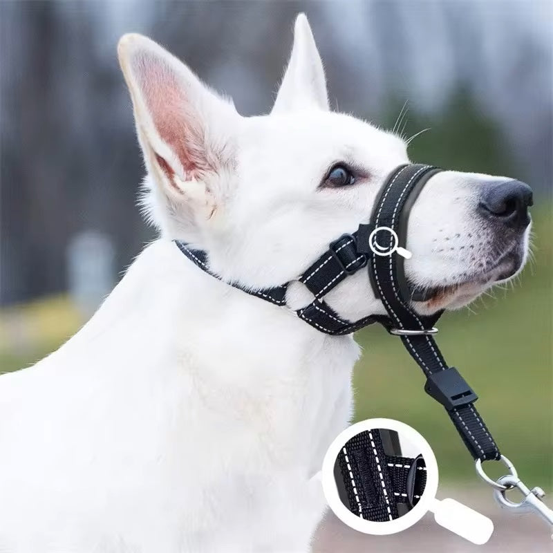 SnoutPro | Stop Barking and Biting Without Stress