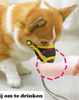 SoftSnout | Prevent Barking and Biting