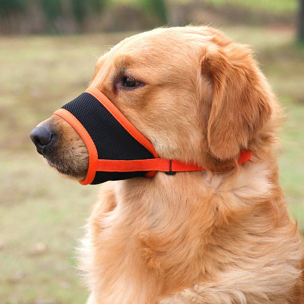 SoftSnout | Prevent Barking and Biting